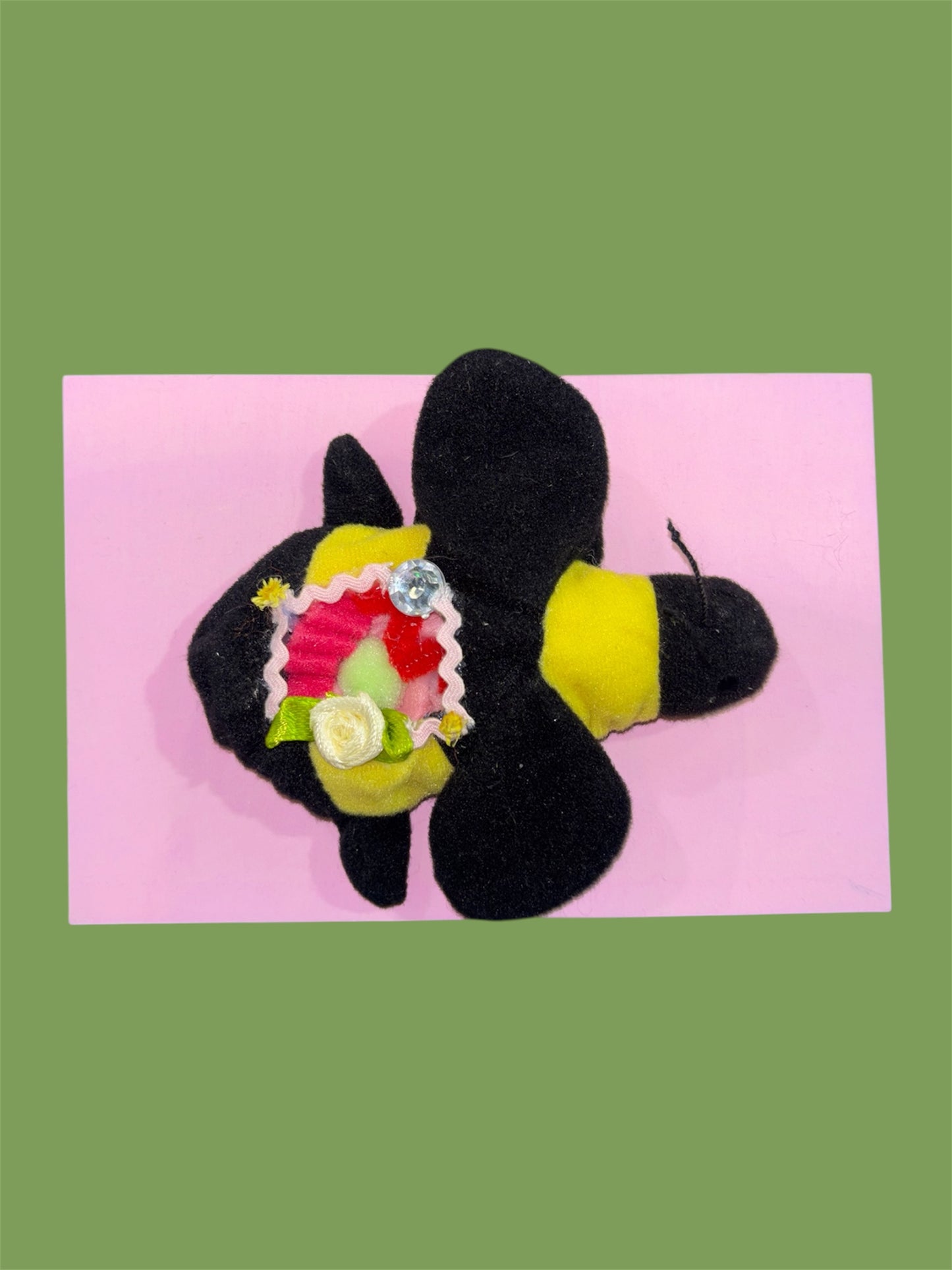 Mini Bee Dissection