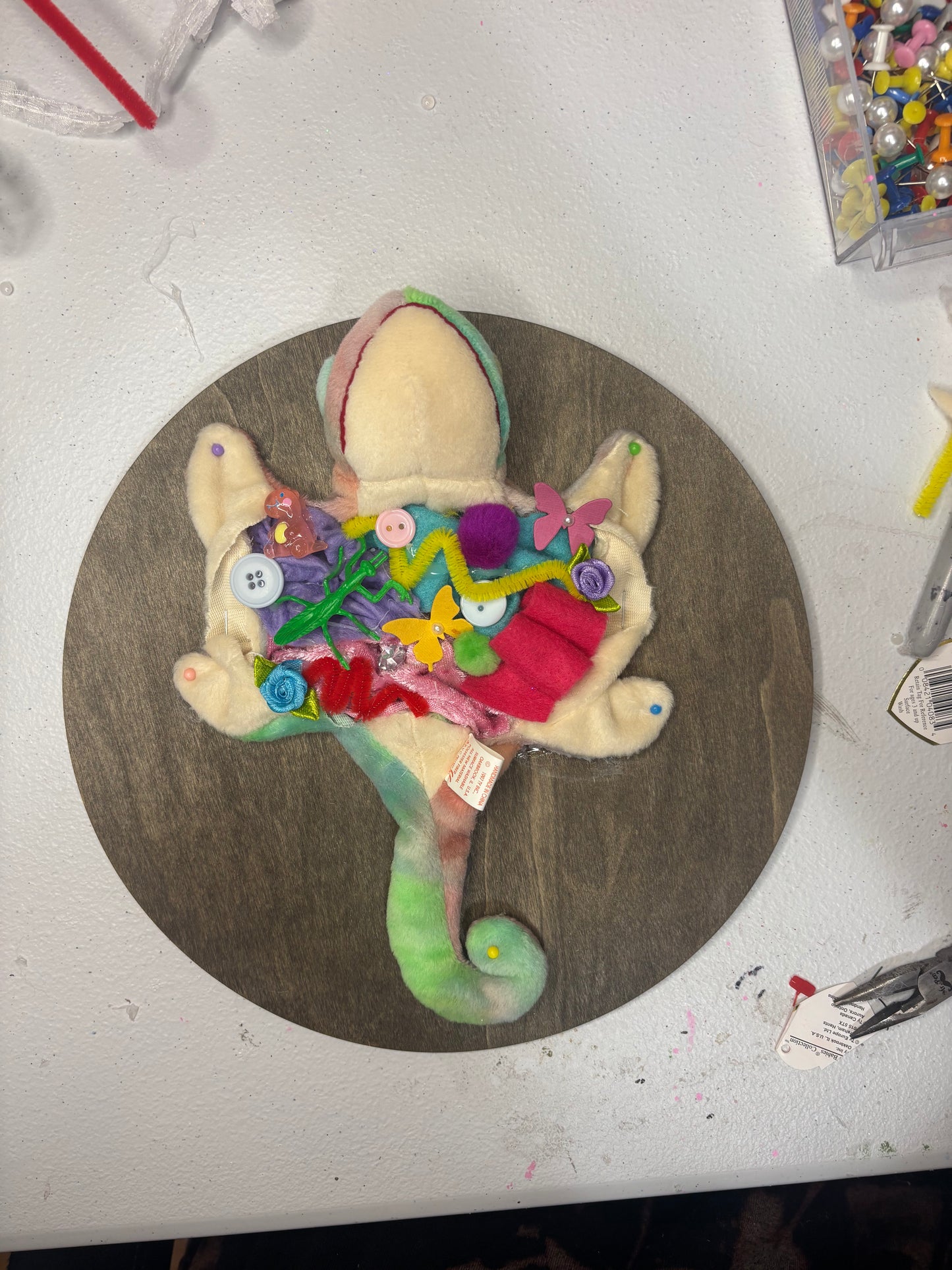 Chameleon Plush Taxidermy Dissection Wall hanging 