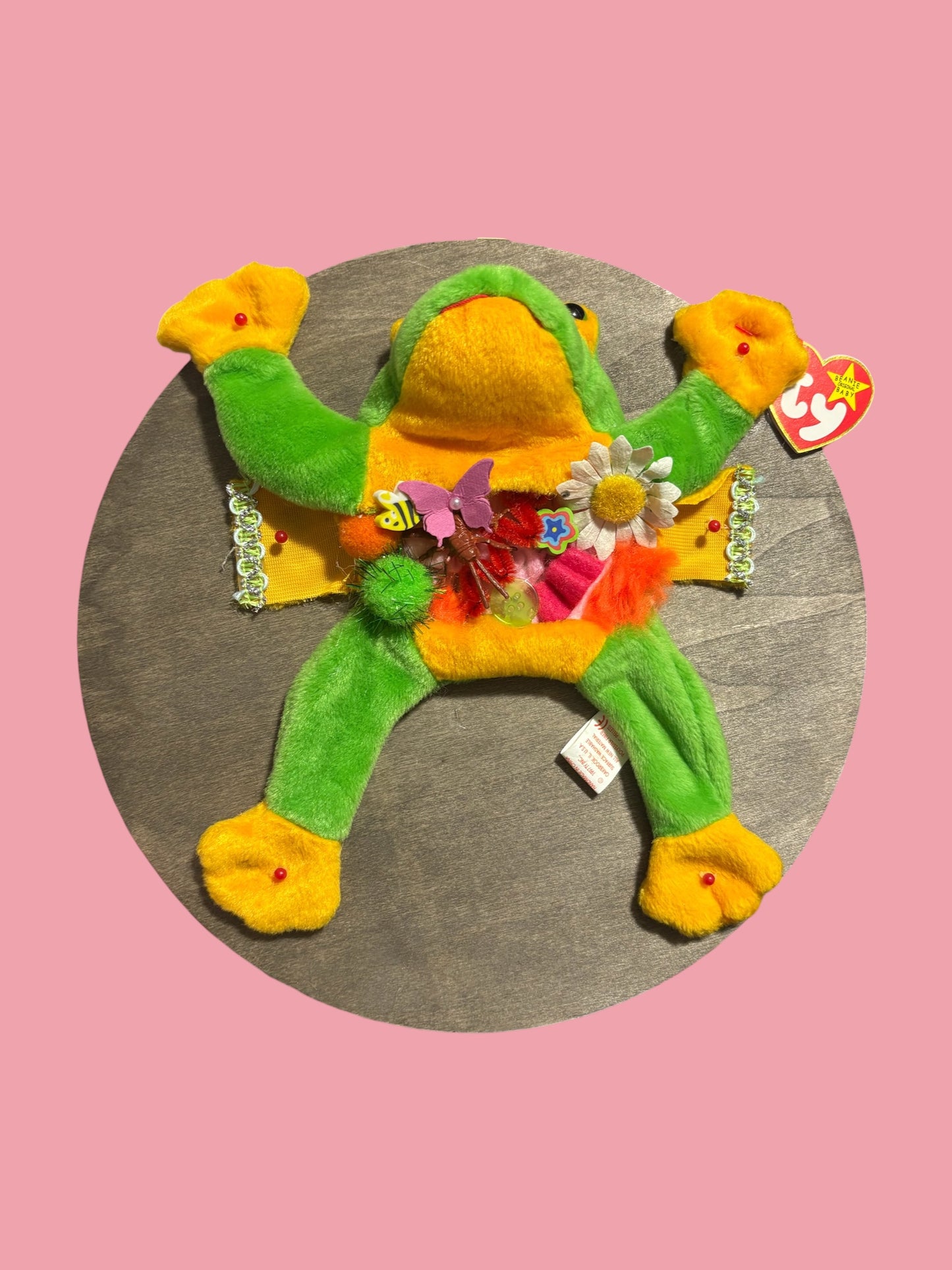 Frog Dissection