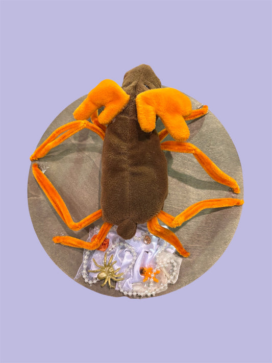 Moose spider taxidermy wall art