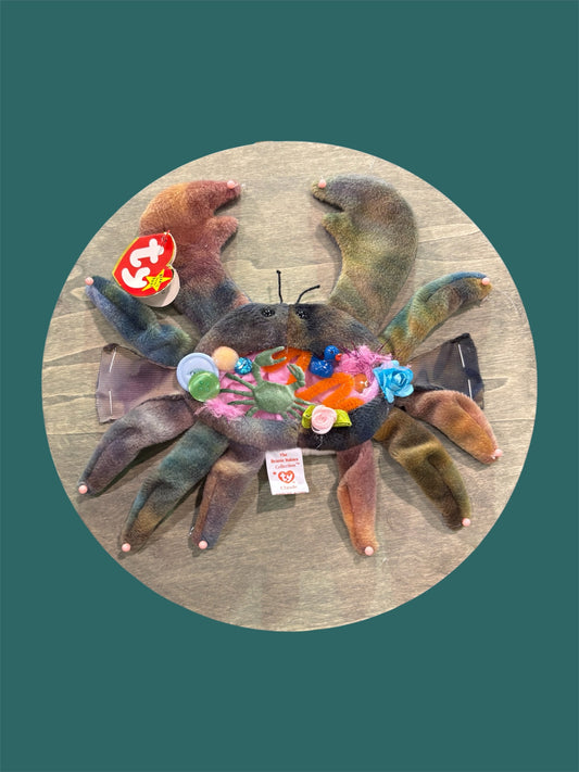 Crab dissection art