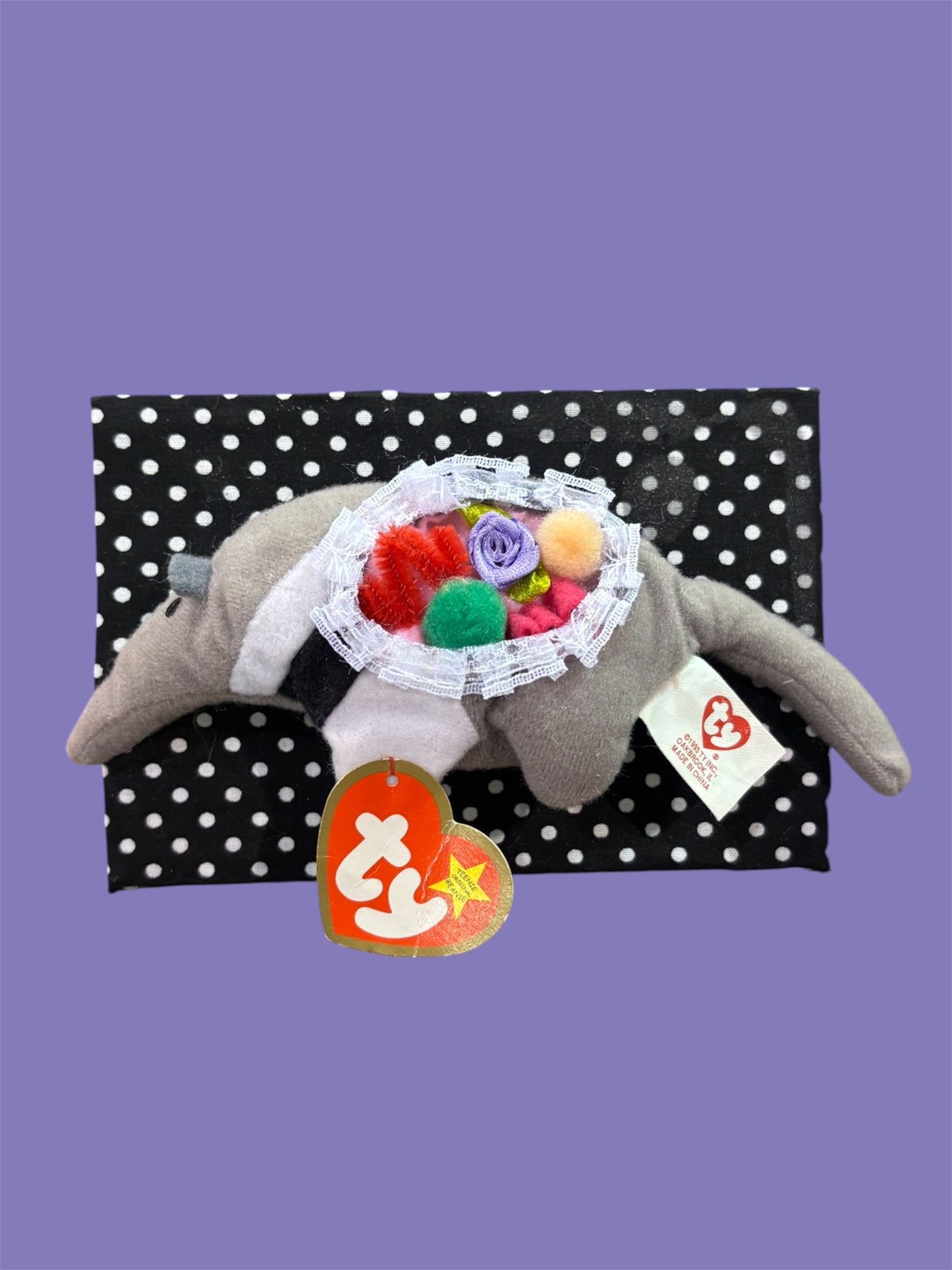 Mini Anteater Dissection Wall Art
