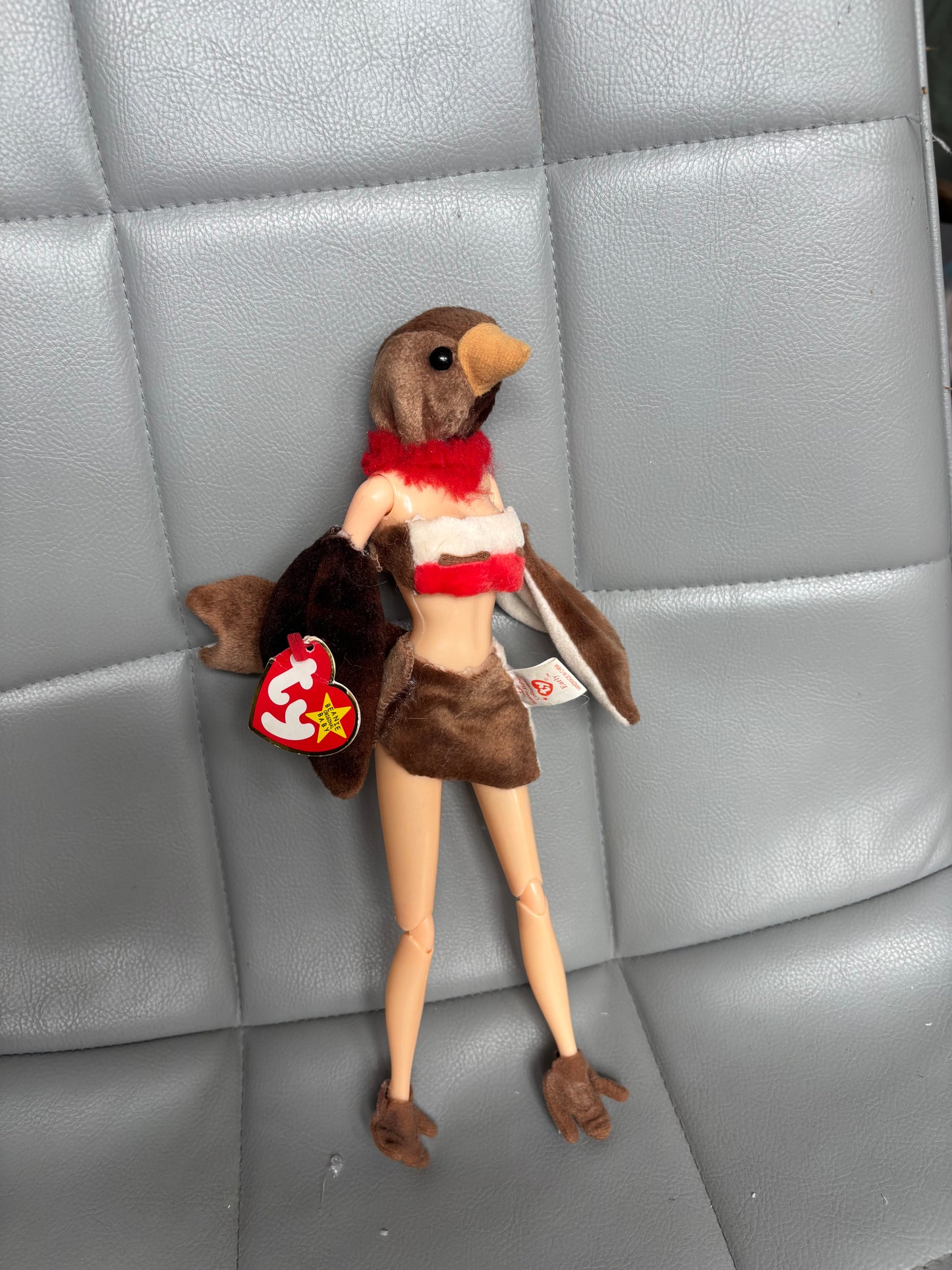 Robin Baddie Bird