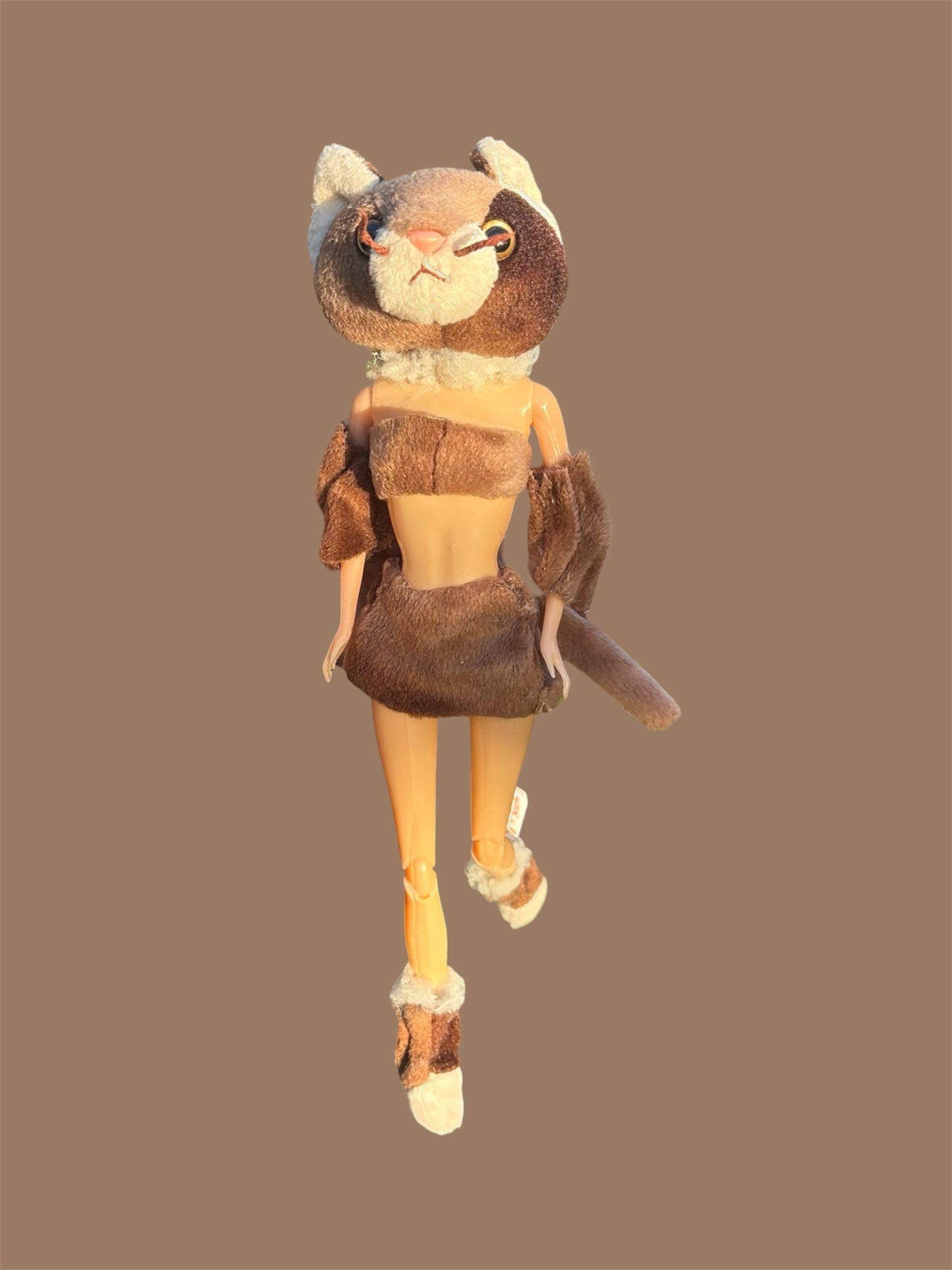 Brown Baddie Cat