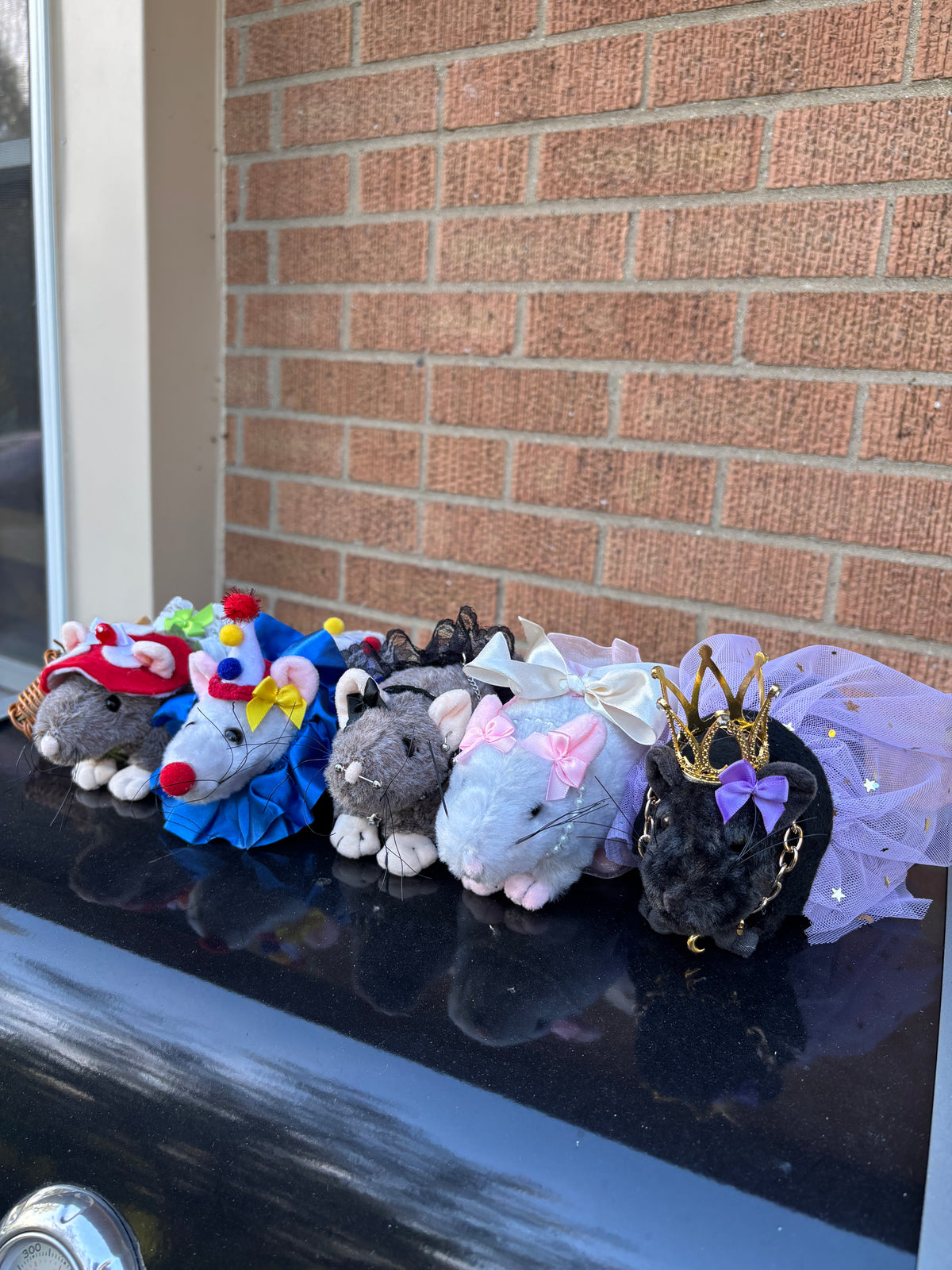 Rat Baddie Blind Boxes!