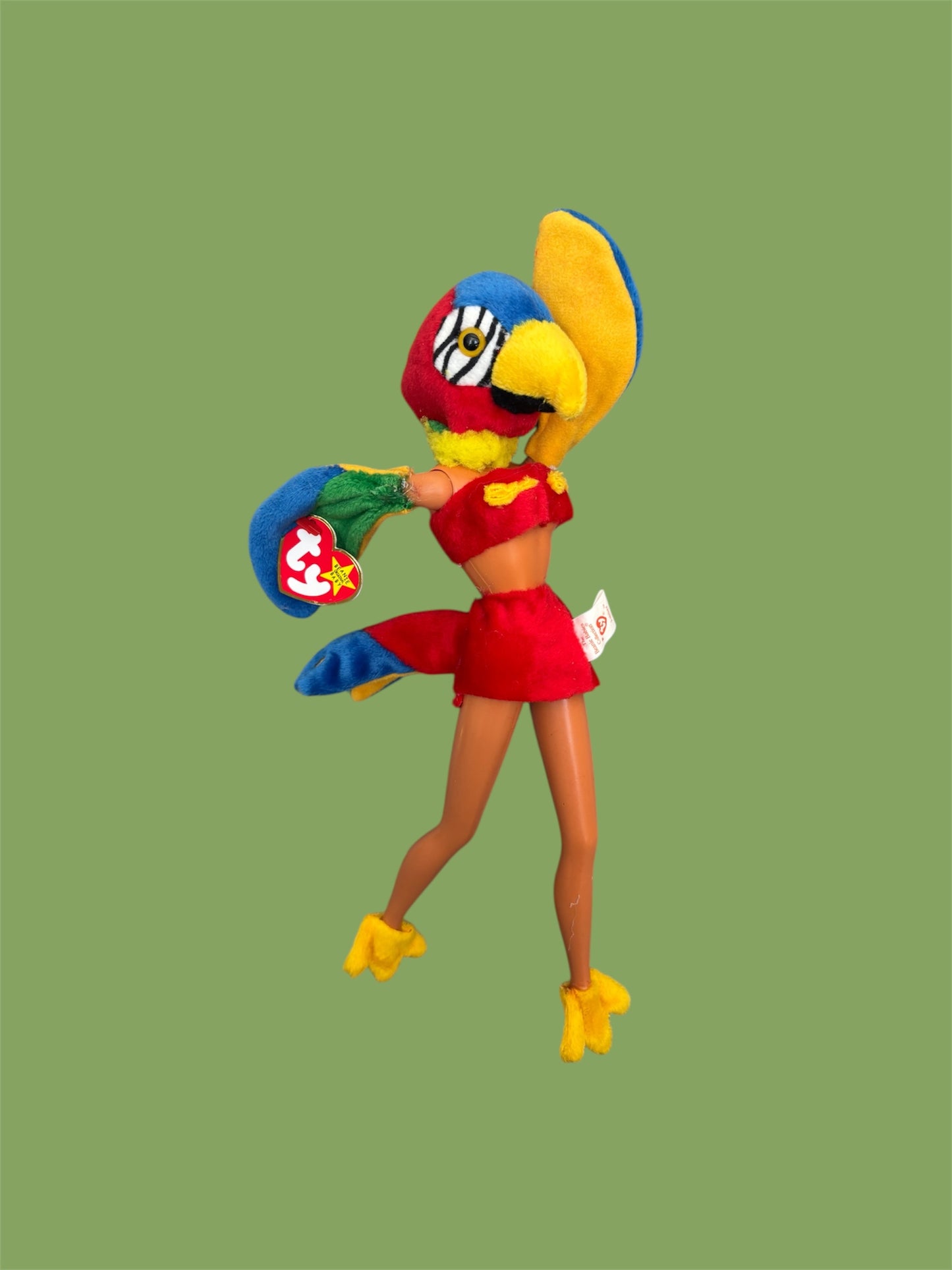 Parrot Baddie Bird