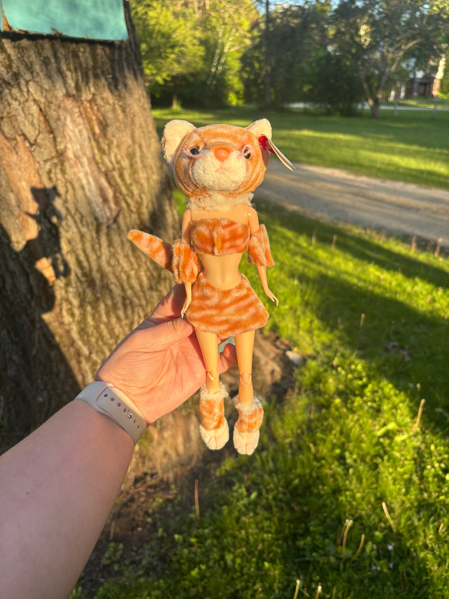 Orange Tabby Baddie Cat