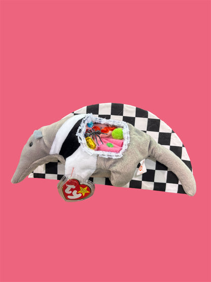 Anteater dissection wall art