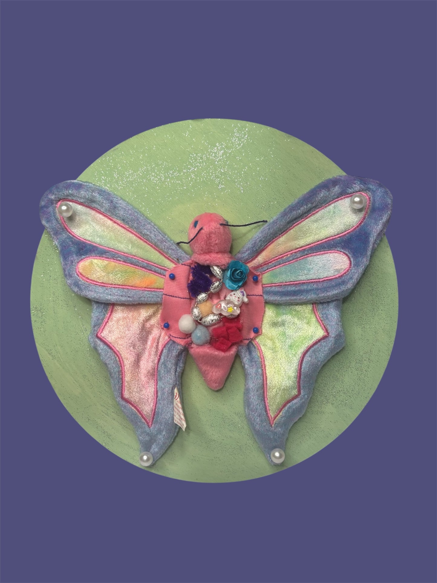Butterfly dissection wall art