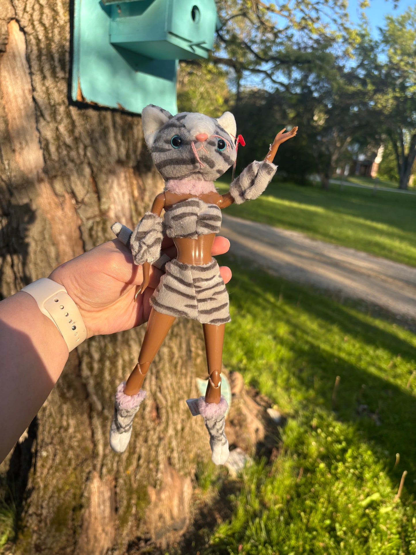 Gray and Pink Baddie Cat
