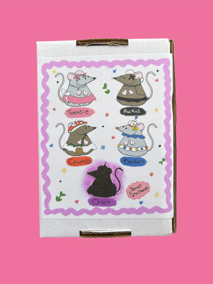 Rat Baddie Blind Boxes!