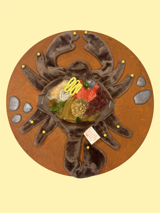 Plush scorpion dissection wall hanging