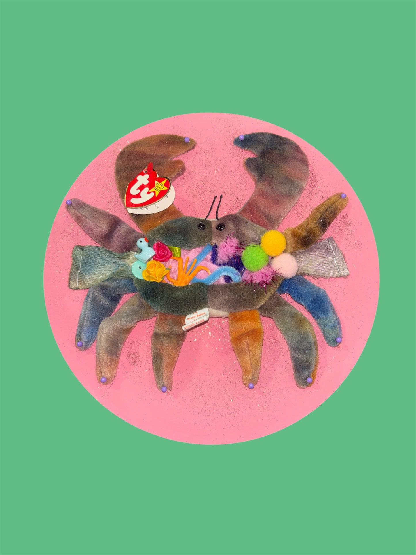 Crab Dissection Pink