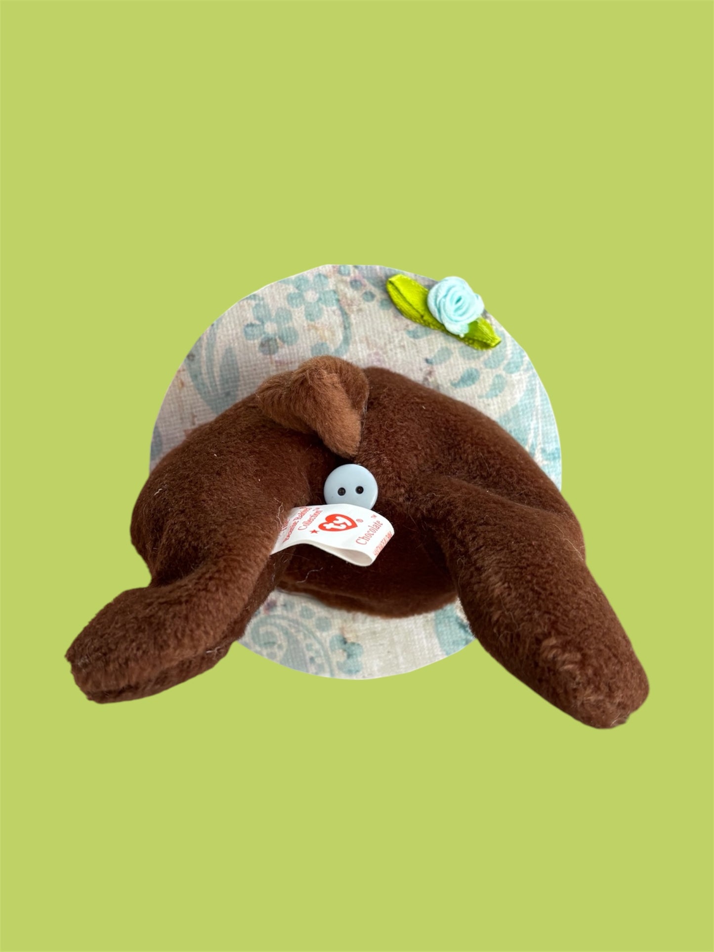 Brown and Blue dog Booty