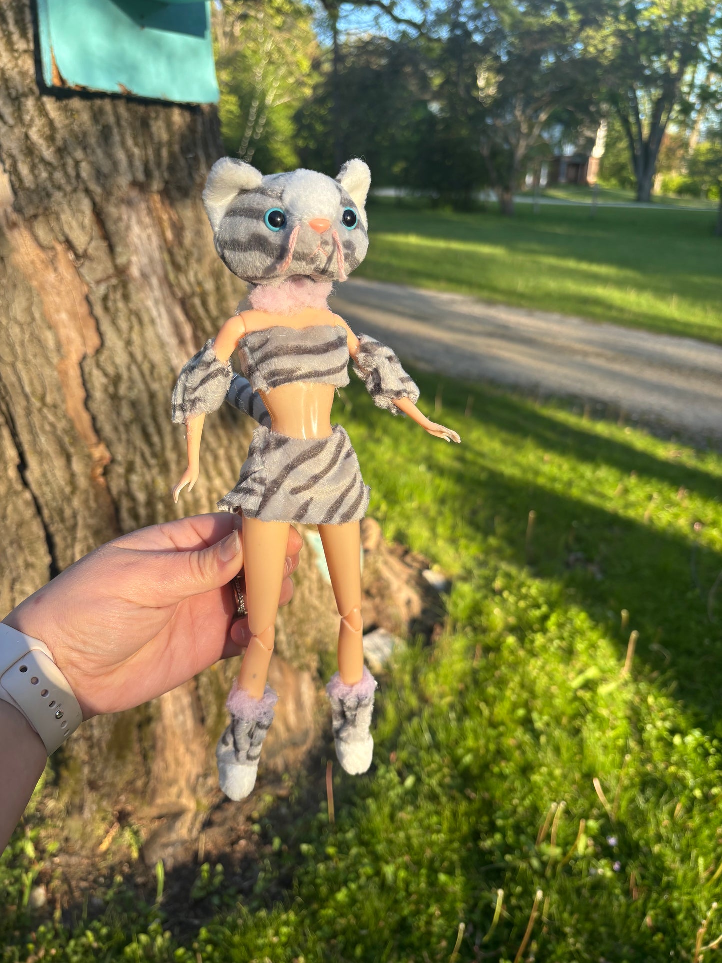 Gray and Pink Baddie Cat