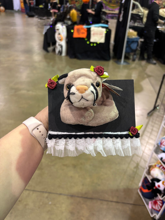 Cougar plush taxidermy