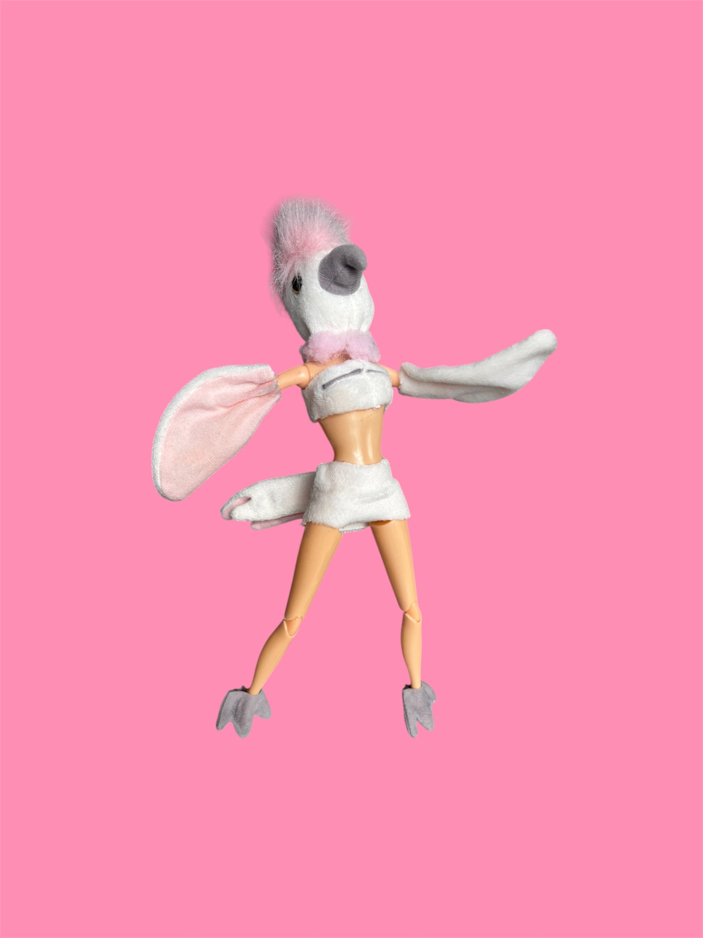 Cockatoo Baddie Bird ￼