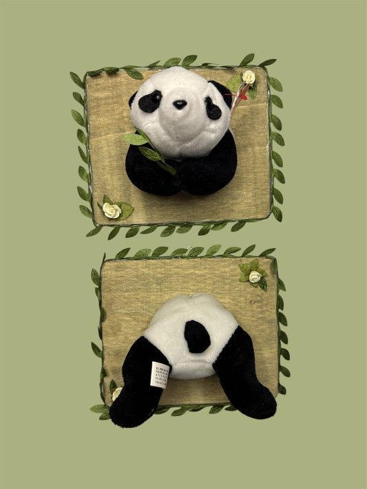 2 piece Panda plush taxidermy