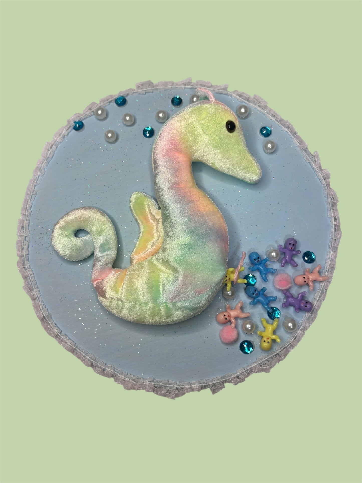 Seahorse Baby Taxidermy Wall Art