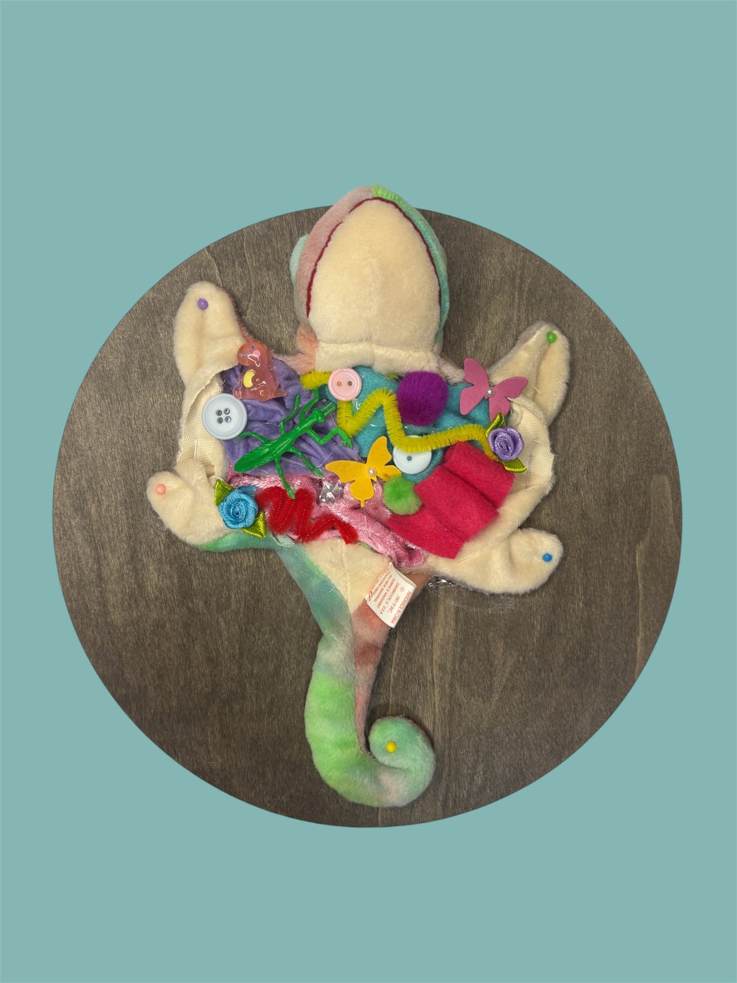 Chameleon Plush Taxidermy Dissection Wall hanging  ￼